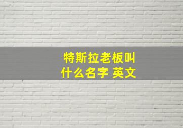 特斯拉老板叫什么名字 英文